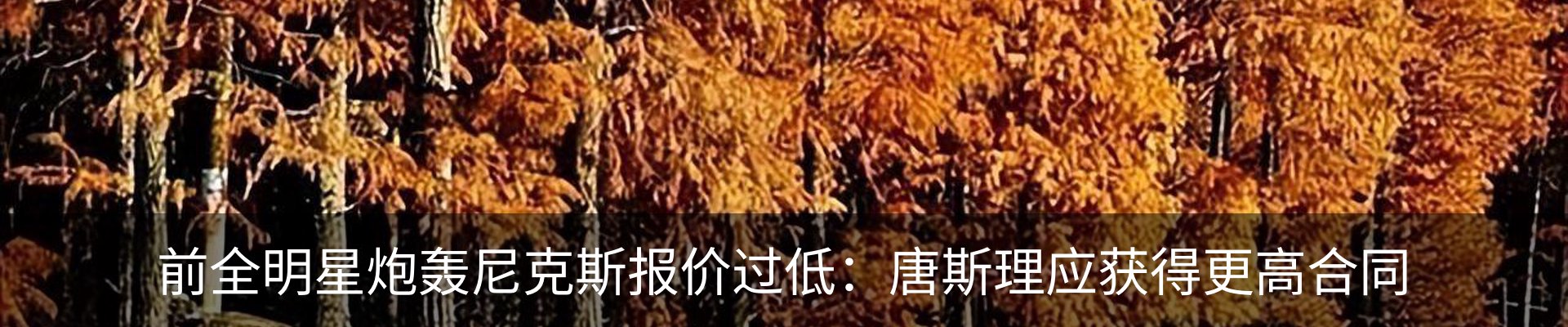 新闻中心